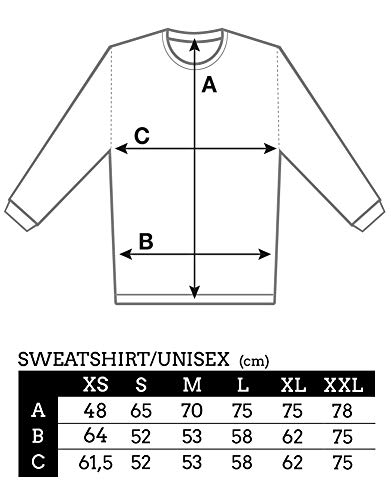 HYPSHRT Herren Sweatshirt Vikings Ragnar Athelstan C000516 Grau XS - 2