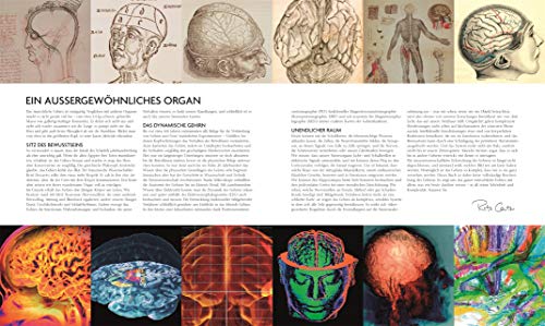 Das Gehirn: Anatomie, Sinneswahrnehmung, Gedächtnis, Bewusstsein, Störungen. Aktualisierte Neuausgabe - 2