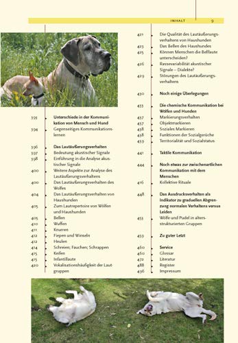 Ausdrucksverhalten beim Hund: Mimik und Körpersprache, Kommunikation und Verständigung: Mimik, Körpersprache, Kommunikation und Verständigung - 4