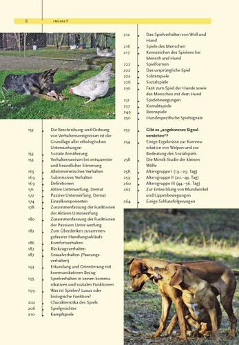 Ausdrucksverhalten beim Hund: Mimik und Körpersprache, Kommunikation und Verständigung: Mimik, Körpersprache, Kommunikation und Verständigung - 5