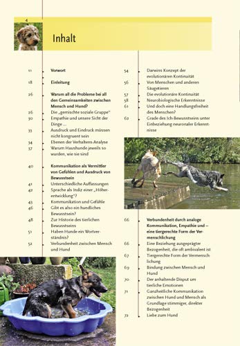 Ausdrucksverhalten beim Hund: Mimik und Körpersprache, Kommunikation und Verständigung: Mimik, Körpersprache, Kommunikation und Verständigung - 6