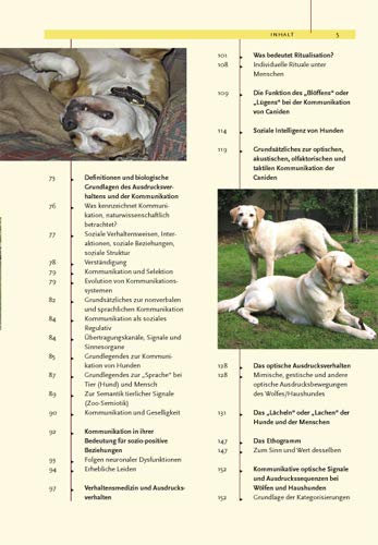 Ausdrucksverhalten beim Hund: Mimik und Körpersprache, Kommunikation und Verständigung: Mimik, Körpersprache, Kommunikation und Verständigung - 10