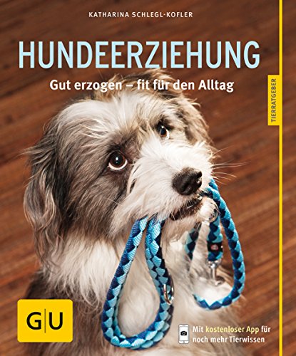 Hundeerziehung: Gut erzogen - fit für den Alltag