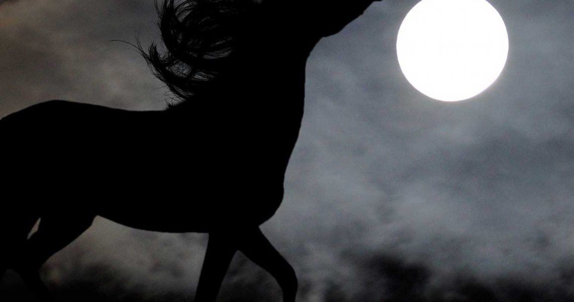 Ragnarök Die Götterdämmerung und der Untergang der Welt in der