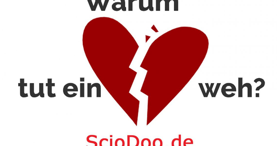 Warum Liebe Weh Tut Eine Soziologische Erklärung sciodoo.de