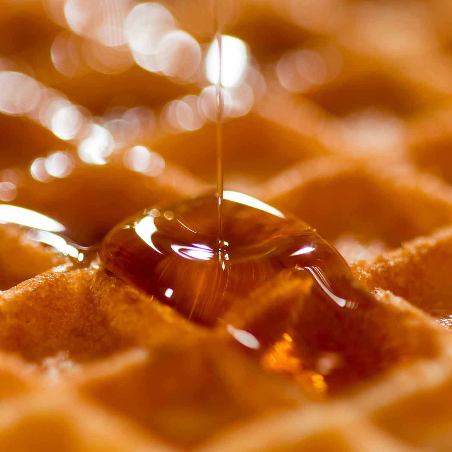 Warum klebt Zucker und wieso kleben Kleber, Honig und Süßigkeiten - ScioDoo