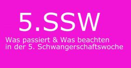 5. schwangerschaftswoche