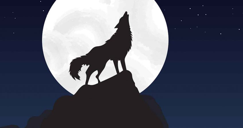 Ragnarök Die Götterdämmerung und der Untergang der Welt in der