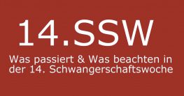 ssw was passiert in der 14. schwangerschaftswoche