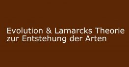 evolution lamarcks theorie zur entstehung der arten