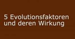 evolutionsfaktoren wirkung wie viele gibt es