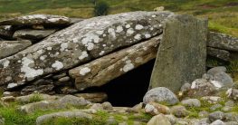 halfdan halvdan svarte vikings bruder von harald schönhaar