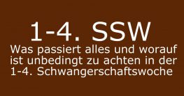 1. schwangerschaftsmonat ssw 1 bis 4 schwangerschaftswochen