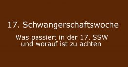 was passiert in der 17. schwangerschaftswoche 17. ssw