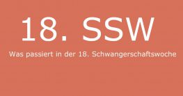 was passiert in der 18. schwangerschaftswoche 18 ssw