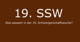 was passiert in der 19 schwangerschaftswoche ssw