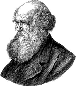 Darwinismus: 5 Thesen in der Evolutionstheorie nach Charles Darwin