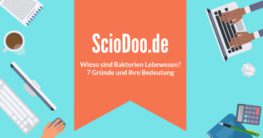 wieso sind bakterien lebewesen 7 gründe bedeutung