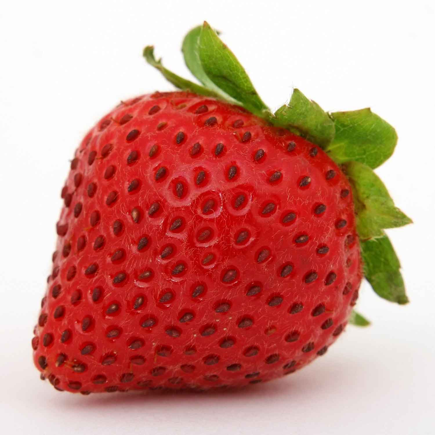 wieso sind erdbeeren nüsse