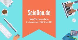 wofür brauchen lebewesen stickstoff