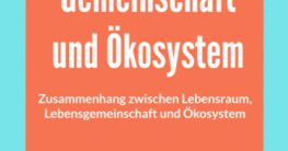 lebensraum lebensgemeinschaft ökosystem zusammenhang und unterschiede