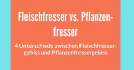 unterschied fleichfressergebiss pflanzenfressergebiss