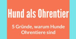 warum sind hunde ohrentiere