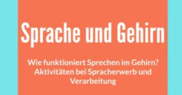 wie funktioniert sprechen im gehirn aktivitäten bei spracherwerb und verarbeitung