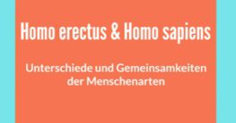 homo erectus und homo sapiens vergleich unterschiede und gemeinsamkeiten