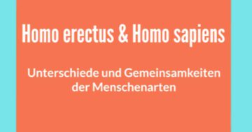 homo erectus und homo sapiens vergleich unterschiede und gemeinsamkeiten