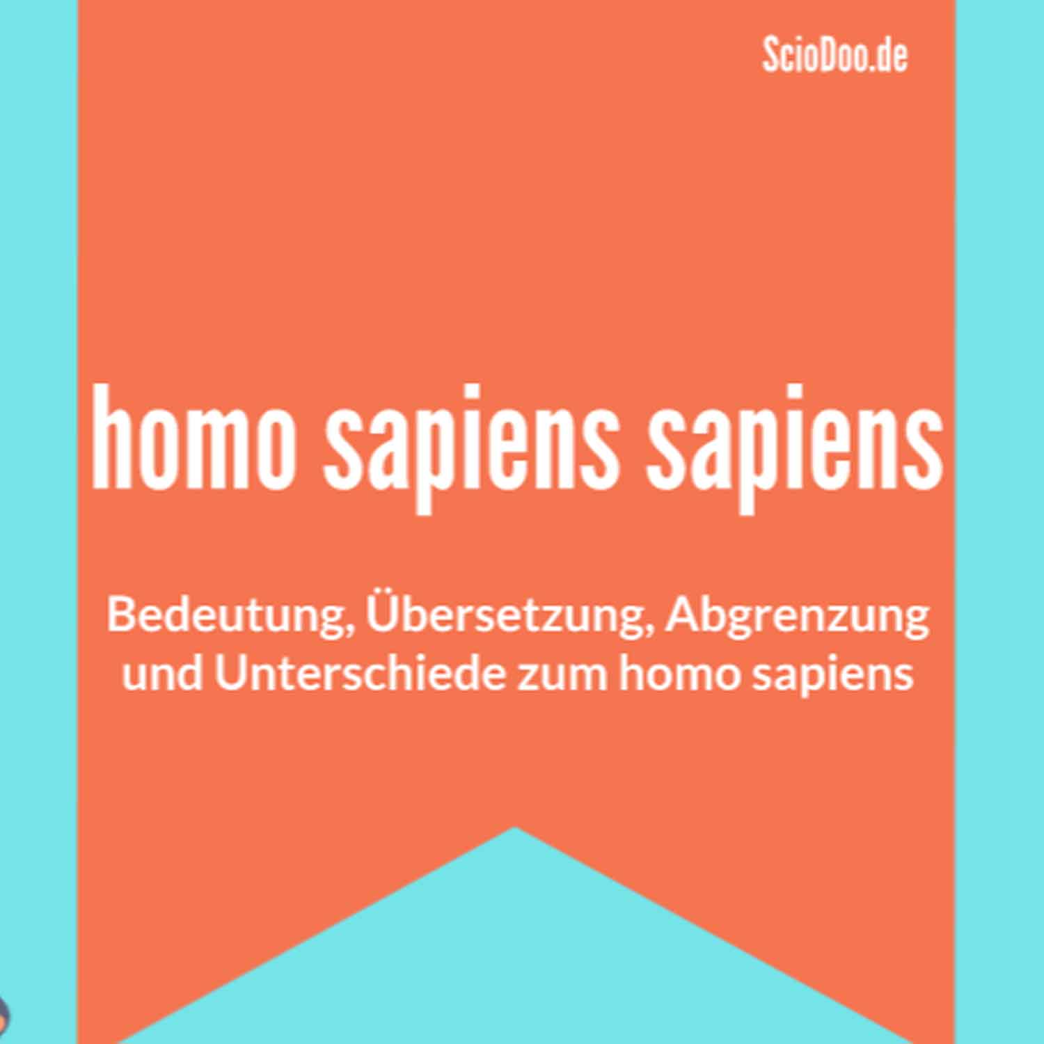 Was bedeutet Homo sapiens sapiens: Übersetzung, Bedeutung, Unterschiede ...
