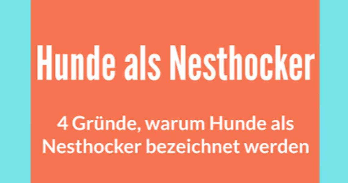 Was bedeutet „Da wird der Hund in der Pfanne verrückt“: Herkunft und