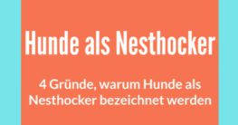 warum sind hunde nesthocker