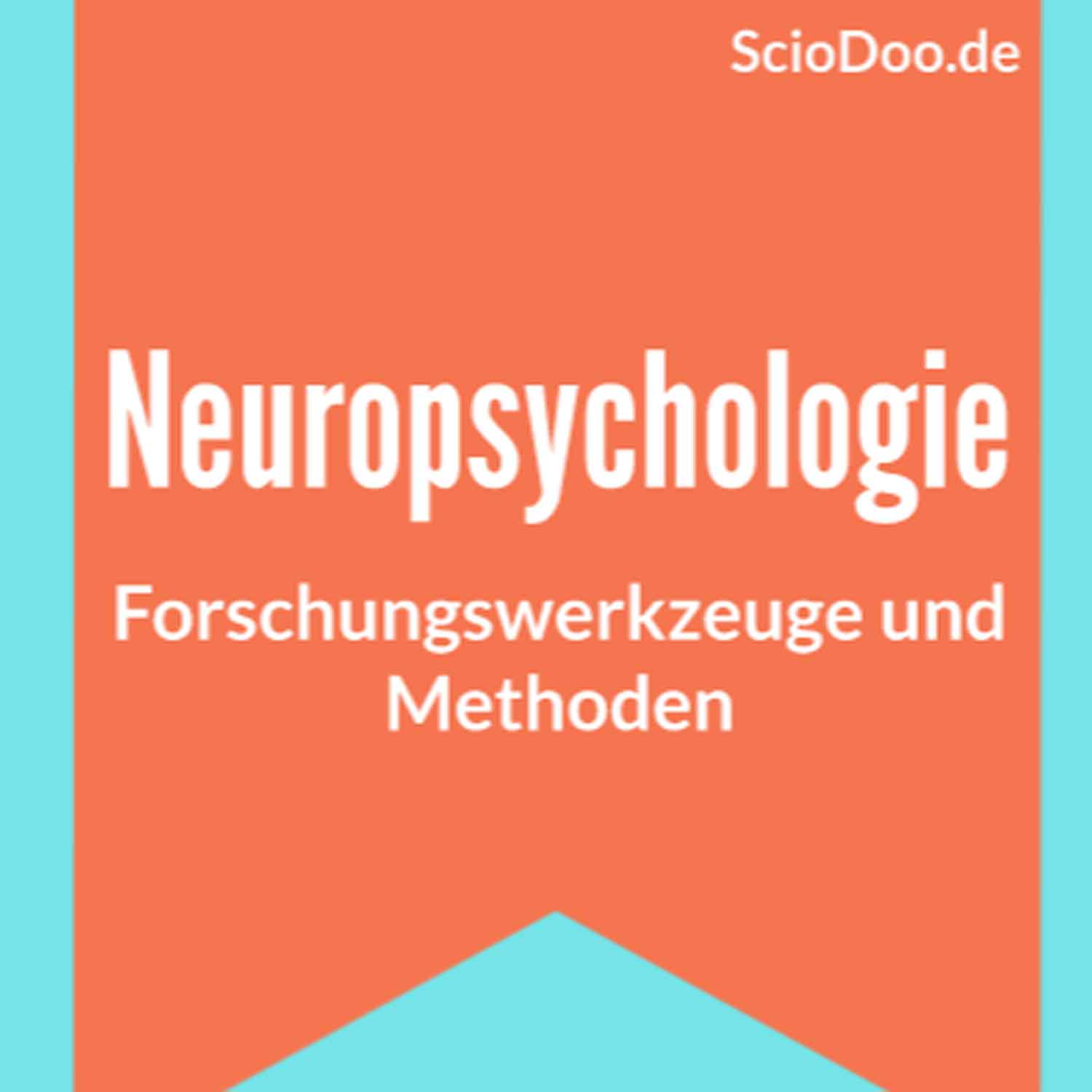 Neuropsychologie: Forschungsmethoden Und Werkzeuge