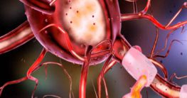 biologische psychologie bedeutung