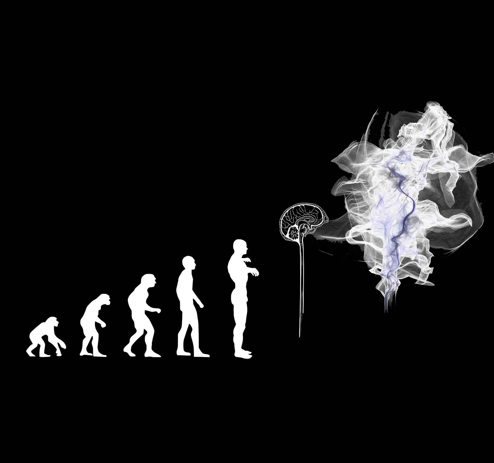 Evolutionspsychologie an Beispielen erklärt Definition, Einflüsse und