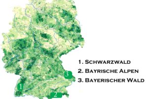 größten waldgebiete deutschlands