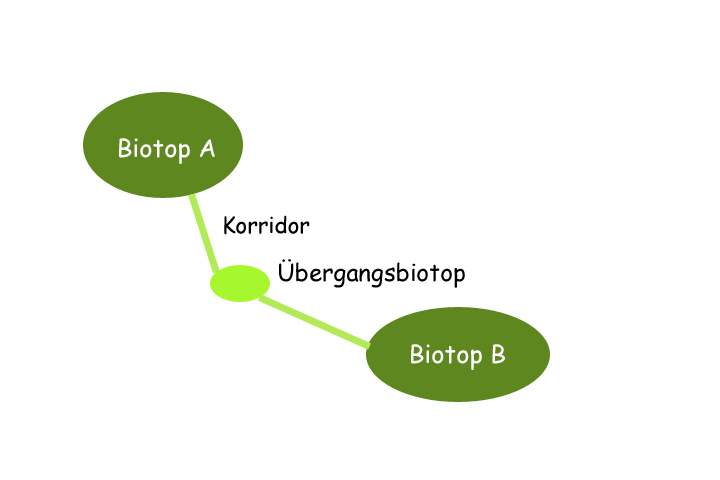 was ist biotopverbund biotopverbundsystem