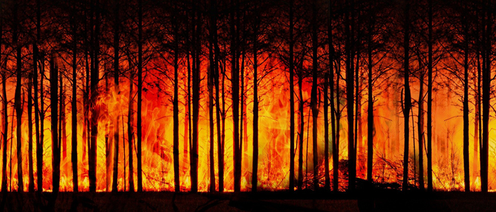 wieso entstehen waldbrände ursachen