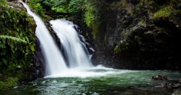 unterschied tropischer regenwald und regenwald