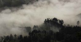 ursachen und folgen der regenwaldzerstörung