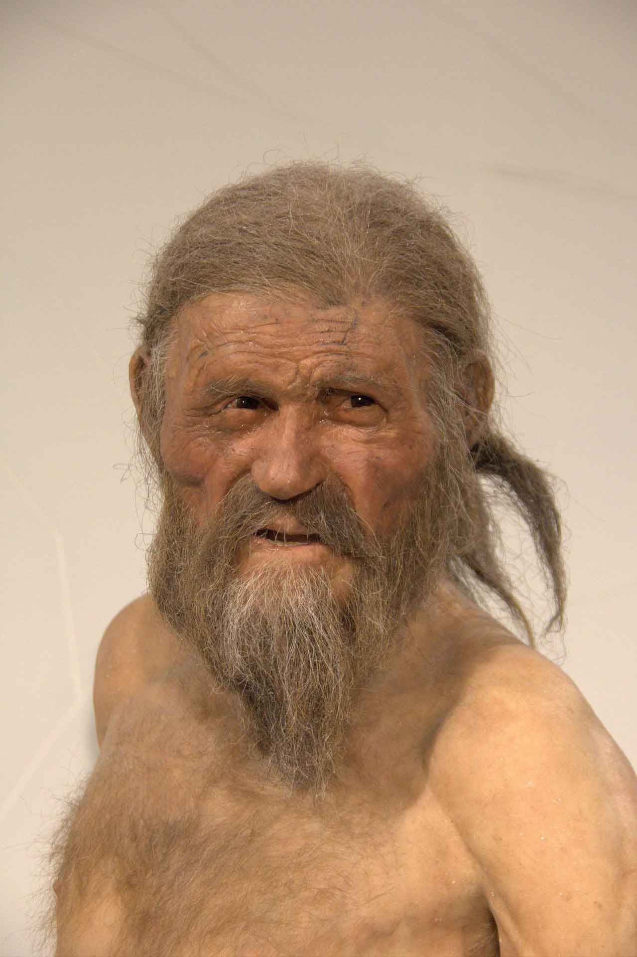Warum hatte Ötzi Tätowierungen Ursachen und Hintergründe