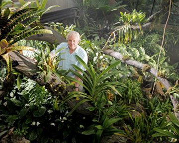 Im Reich der Pflanzen 3D - mit David Attenborough (inkl. 2D-Version) [3D Blu-ray] - 3