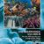 Das Meerwasseraquarium: Von der Planung bis zur erfolgreichen Pflege (NTV Meerwasseraquaristik) - 1