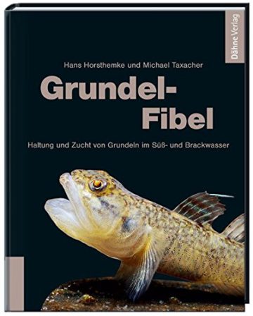 Grundel-Fibel: Haltung und Zucht von Grundeln im Süß- und Brackwasser - 1