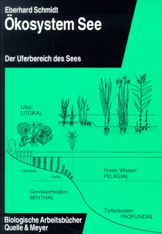 Ökosystem See, Bd.1, Uferbereich des Sees - 1