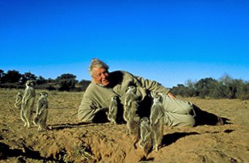 David Attenborough: Das Leben der Säugetiere - Die komplette Serie [4 DVDs] - 6