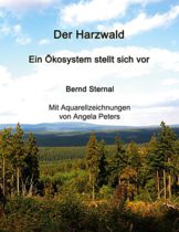 Der Harzwald - Ein Ökosystem stellt sich vor: Wald: Ein Lösungsbaustein für die Abschwächung des Klimawandels - 1