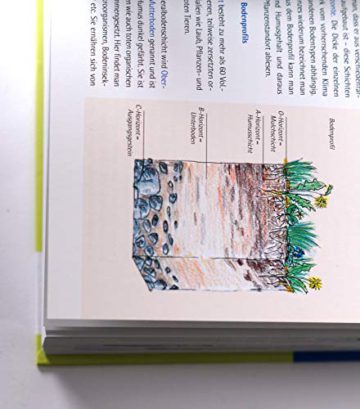 Handbuch Wasser im Garten. Wasser sparen, nachhaltig nutzen, Teiche und Biotope planen und anlegen - 11