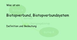 biotopverbund biotopverbundsystem definition bedeutung